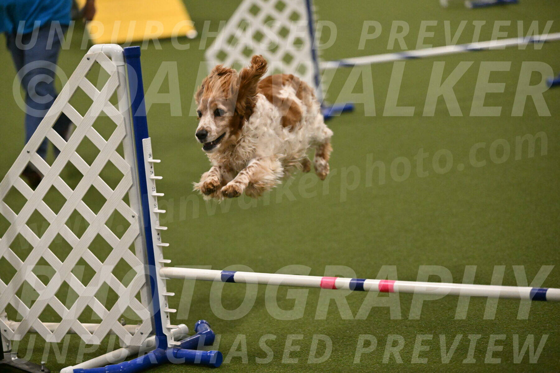 Izzy-Kathy-Barickman-09064