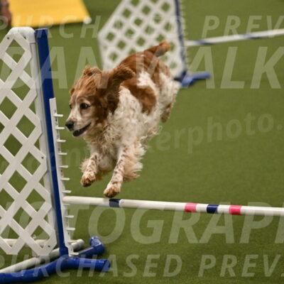 Izzy-Kathy-Barickman-09065