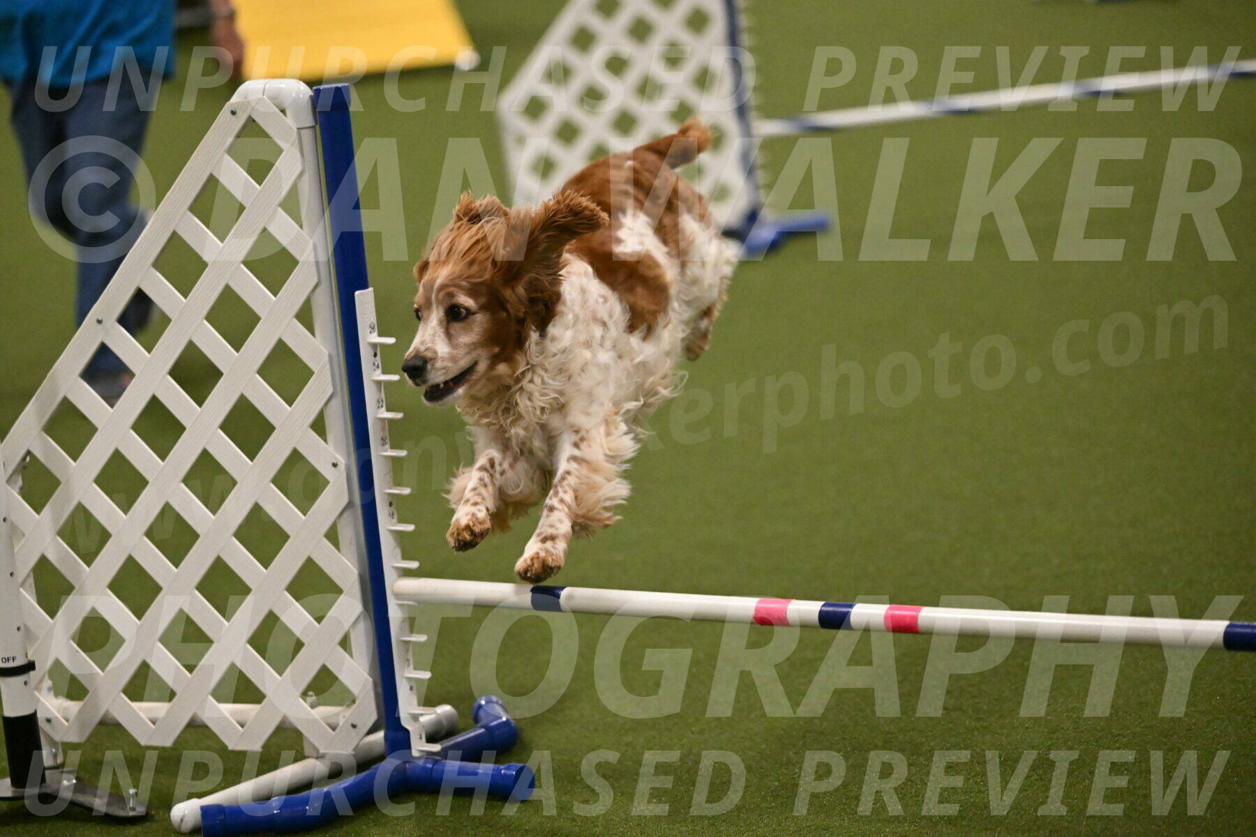 Izzy-Kathy-Barickman-09065