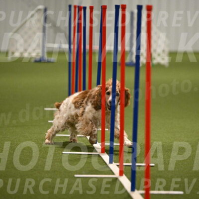 Izzy-Kathy-Barickman-09073