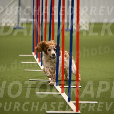 Izzy-Kathy-Barickman-09074