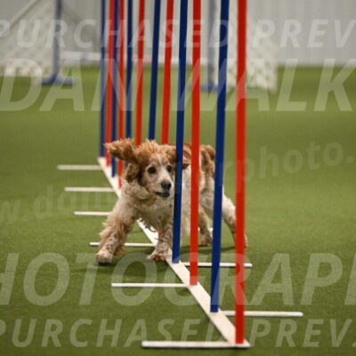 Izzy-Kathy-Barickman-09075