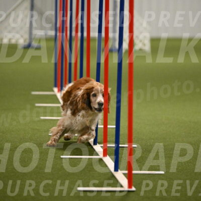 Izzy-Kathy-Barickman-09076