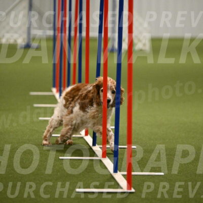 Izzy-Kathy-Barickman-09077