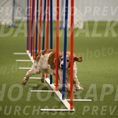 Izzy-Kathy-Barickman-09078