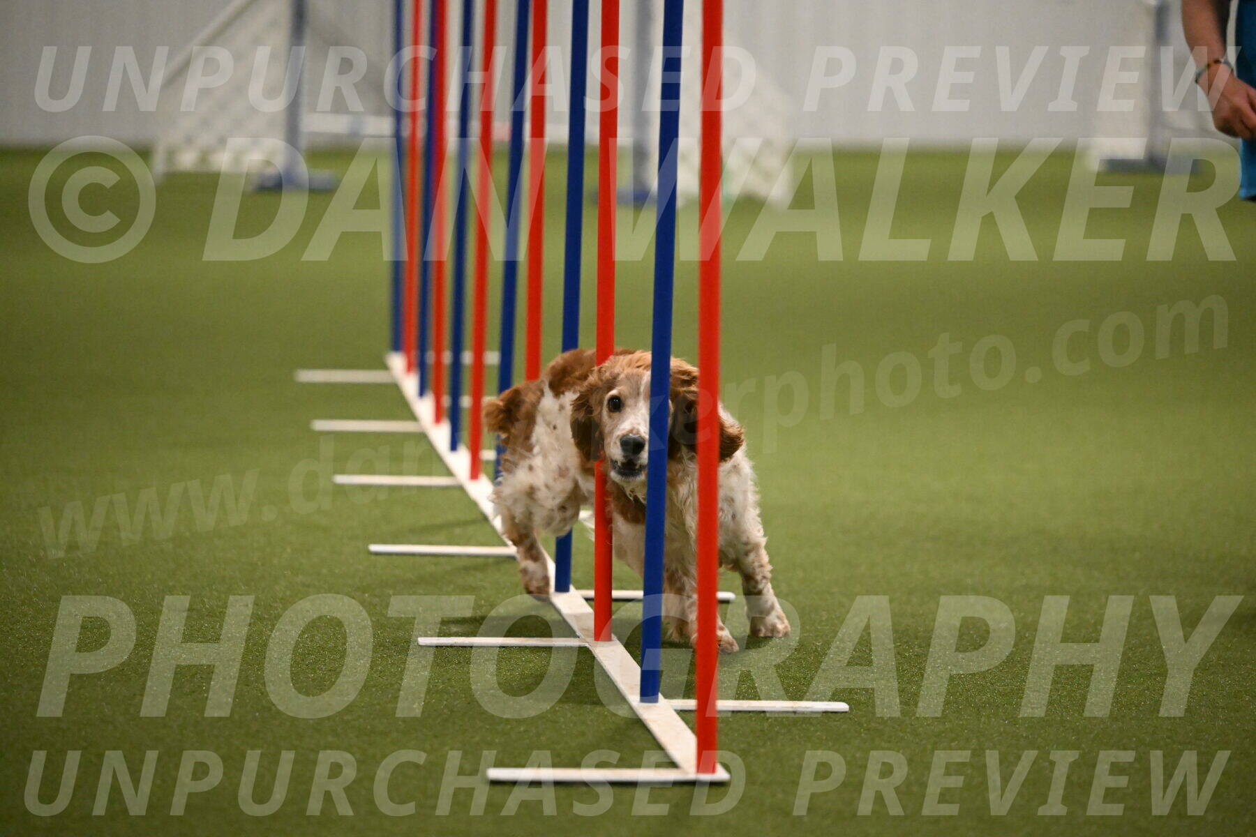 Izzy-Kathy-Barickman-09079