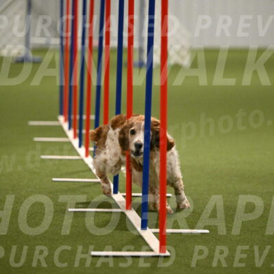 Izzy-Kathy-Barickman-09079