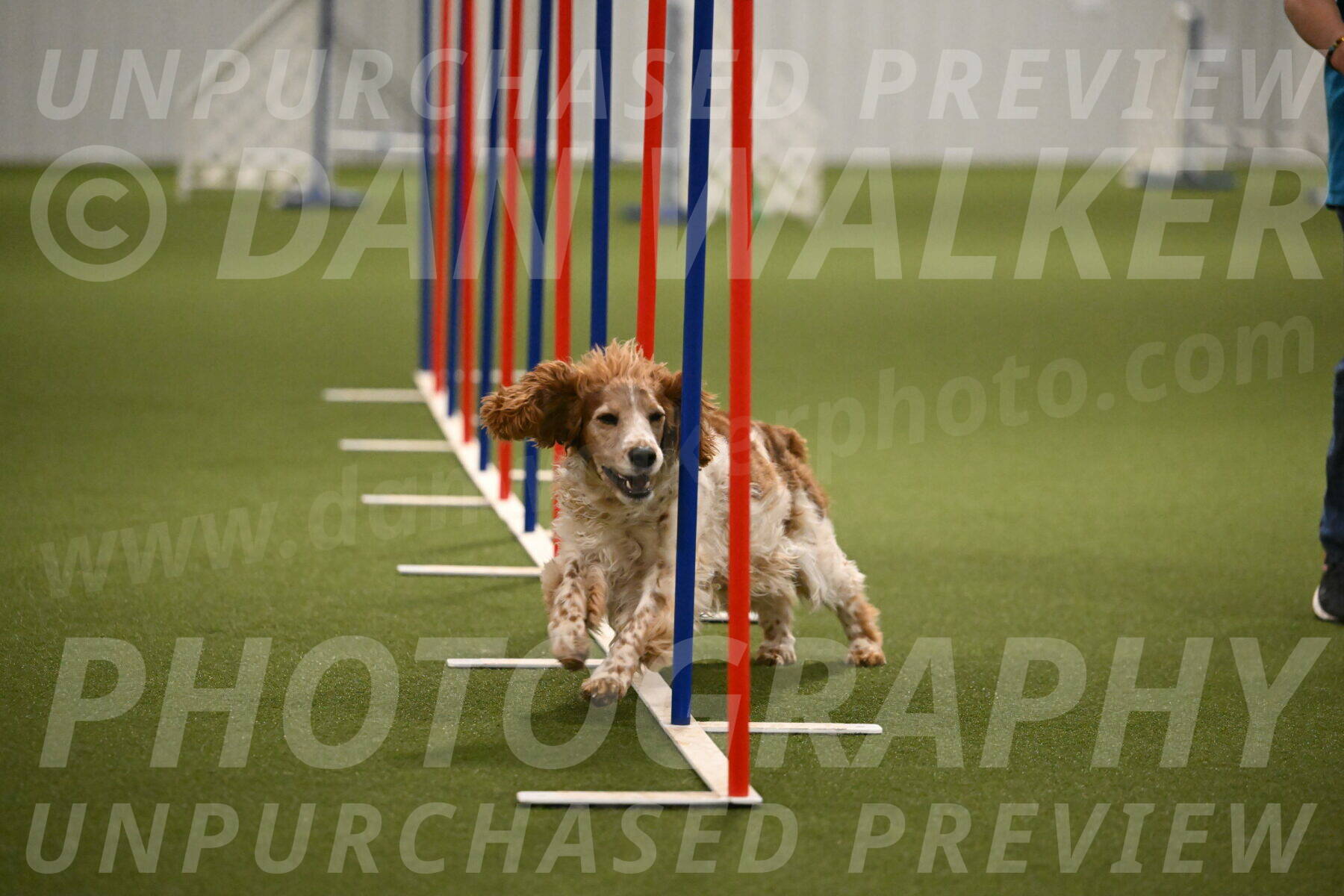 Izzy-Kathy-Barickman-09080