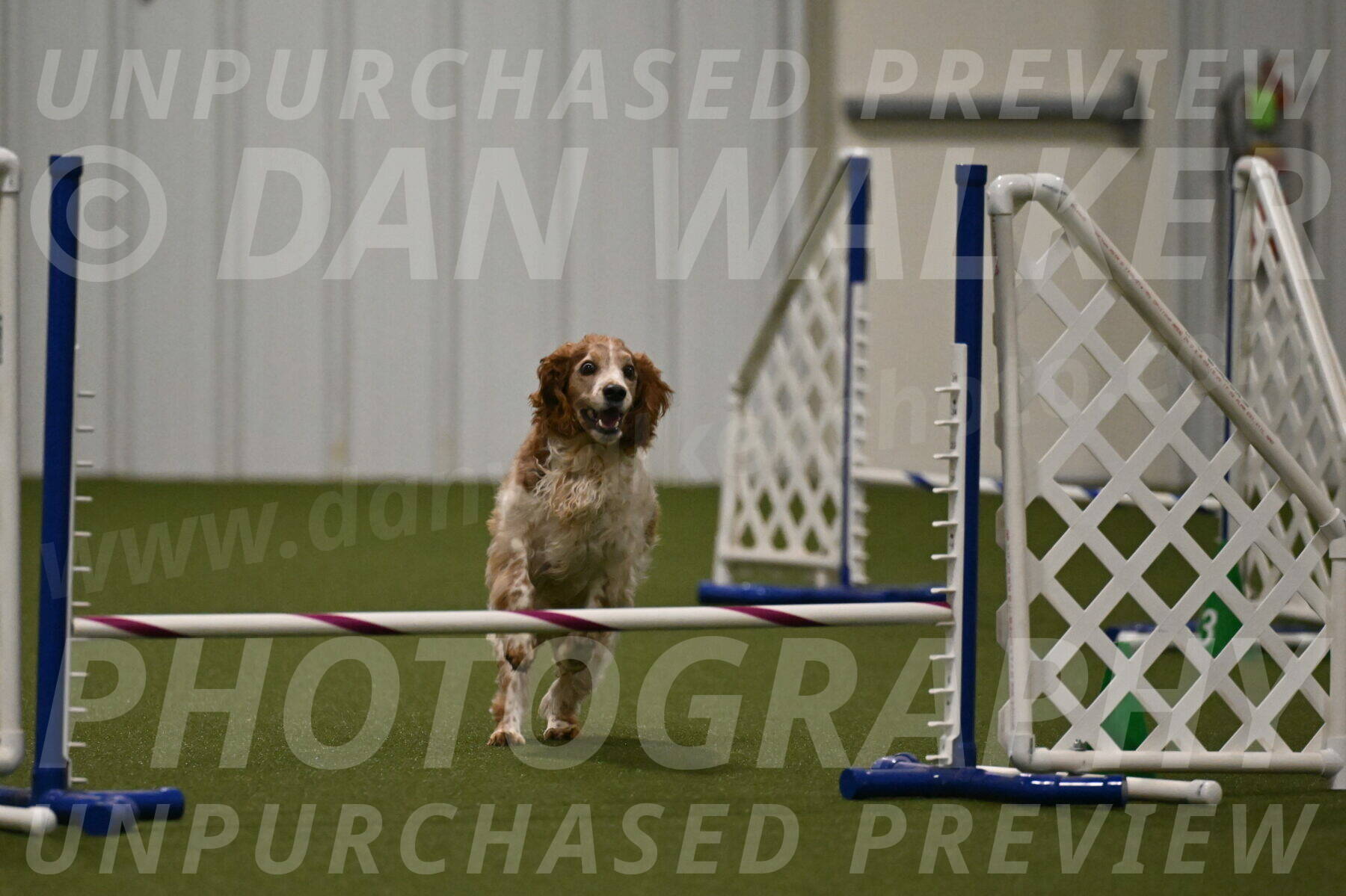 Izzy-Kathy-Barickman-09081