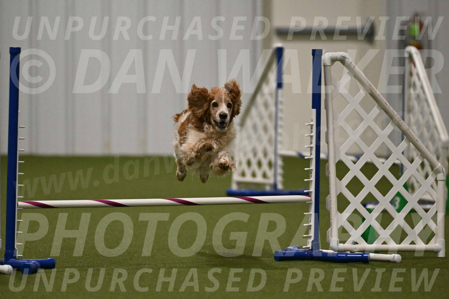 Izzy-Kathy-Barickman-09084