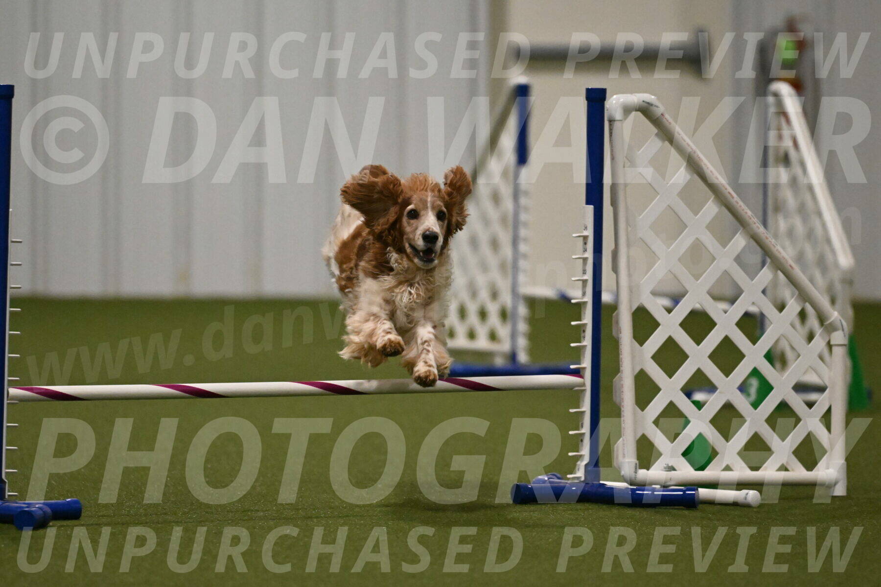 Izzy-Kathy-Barickman-09085