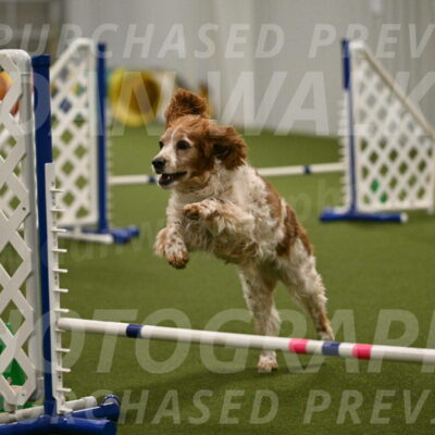 Izzy-Kathy-Barickman-09087