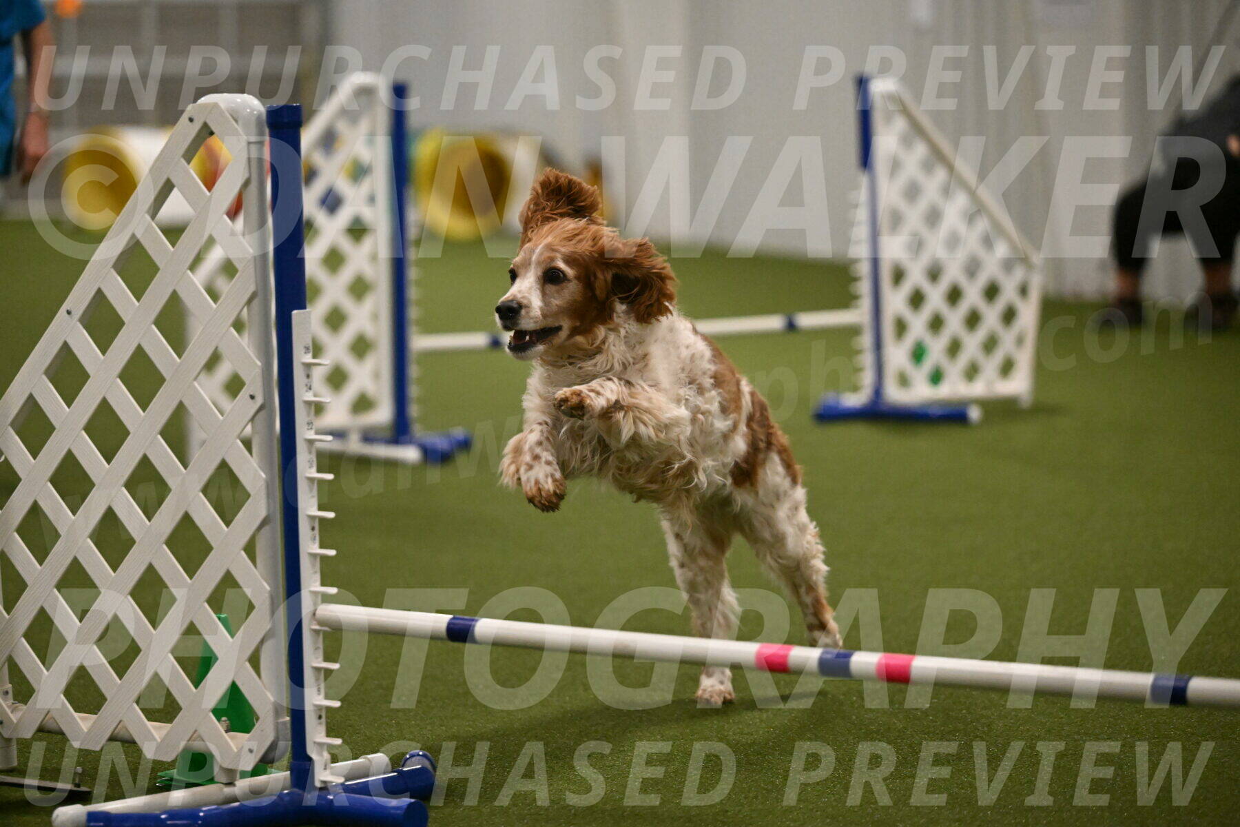 Izzy-Kathy-Barickman-09087
