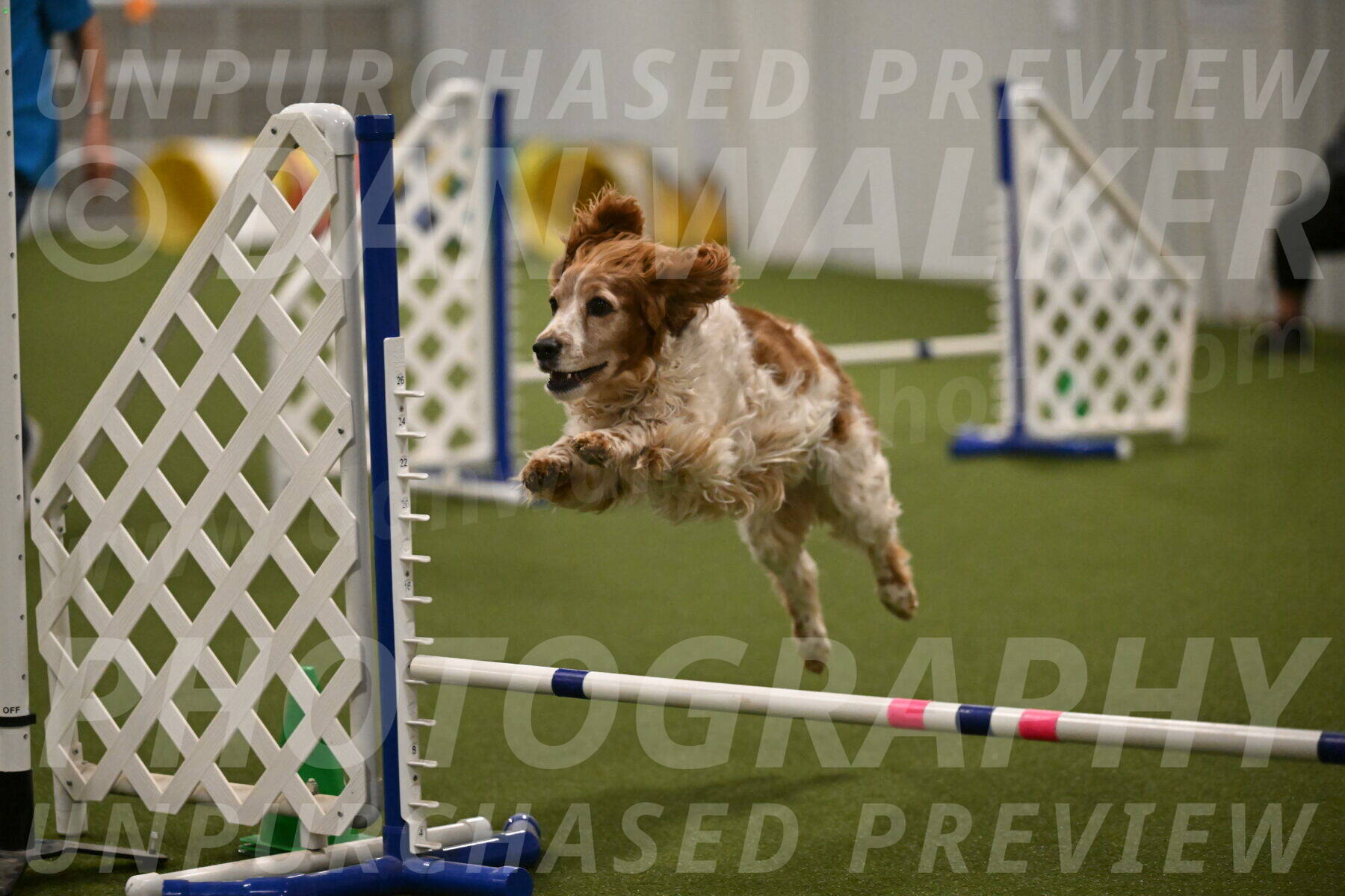 Izzy-Kathy-Barickman-09088