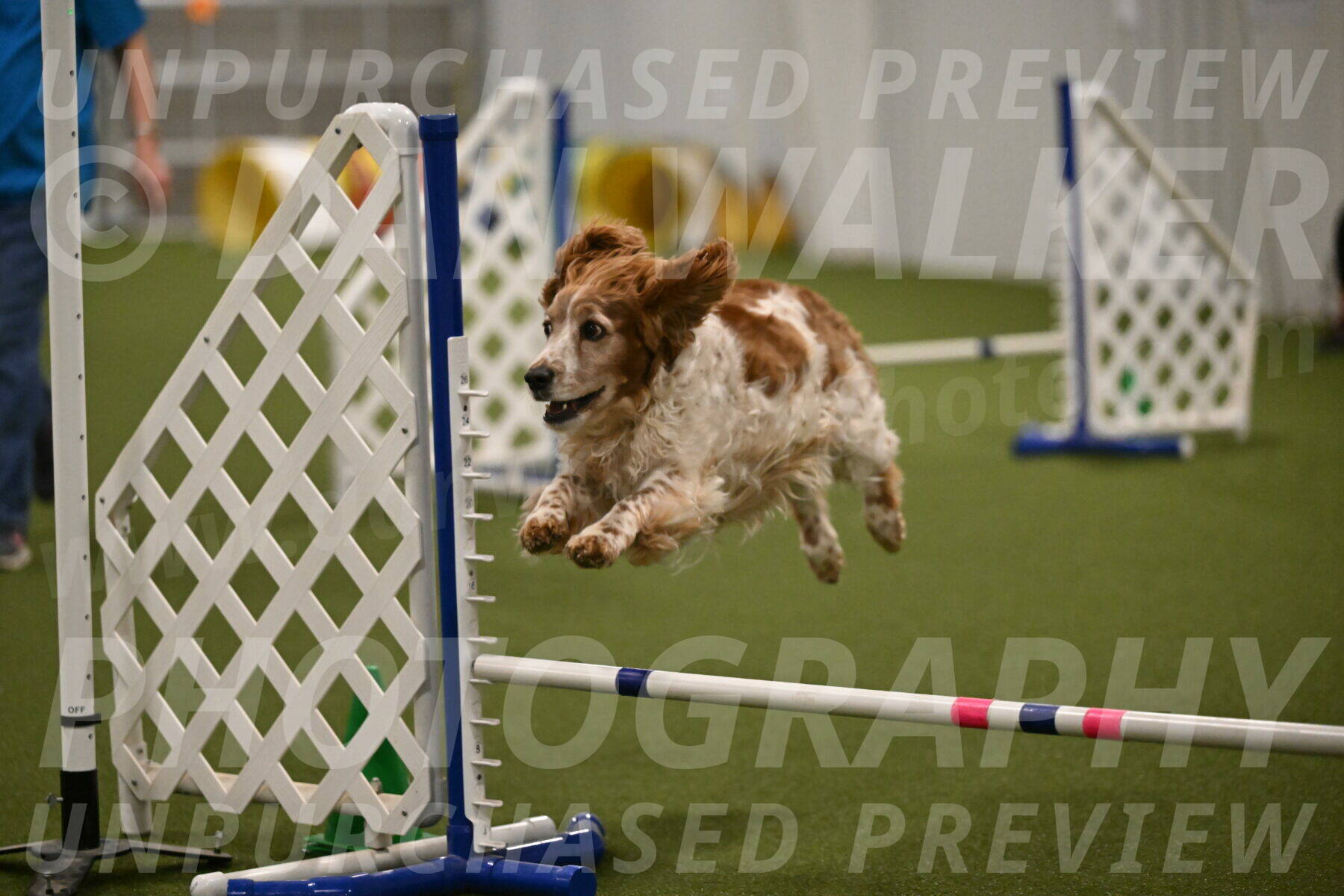 Izzy-Kathy-Barickman-09089