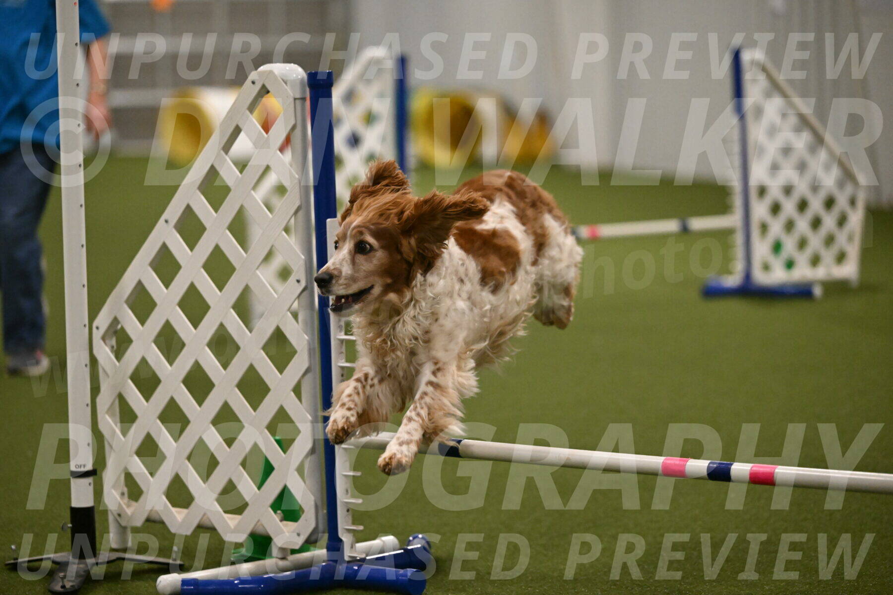 Izzy-Kathy-Barickman-09090