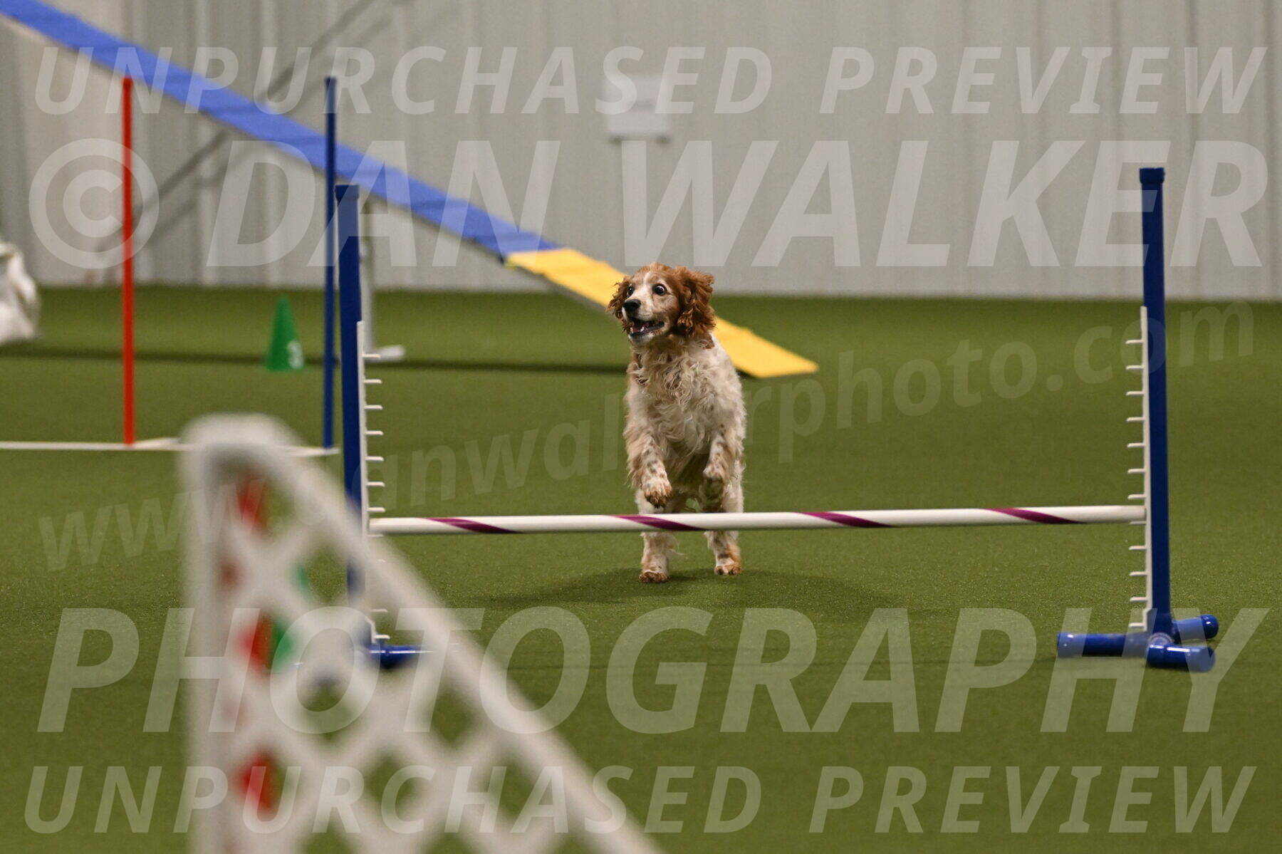 Izzy-Kathy-Barickman-09091