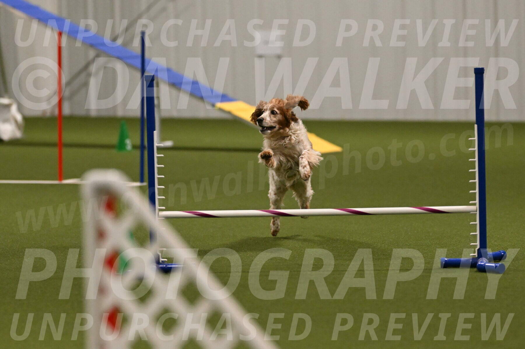 Izzy-Kathy-Barickman-09092