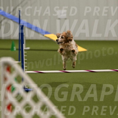 Izzy-Kathy-Barickman-09093