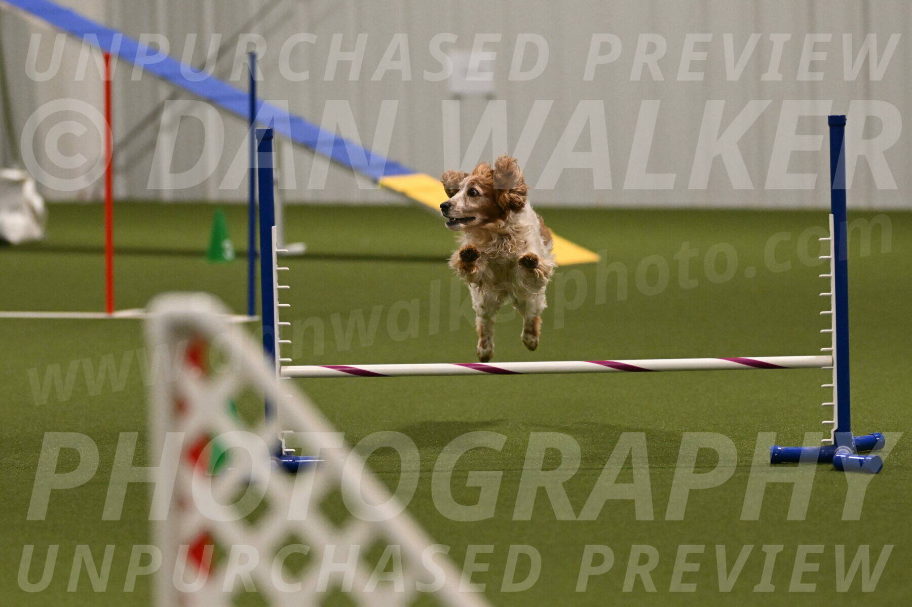 Izzy-Kathy-Barickman-09093