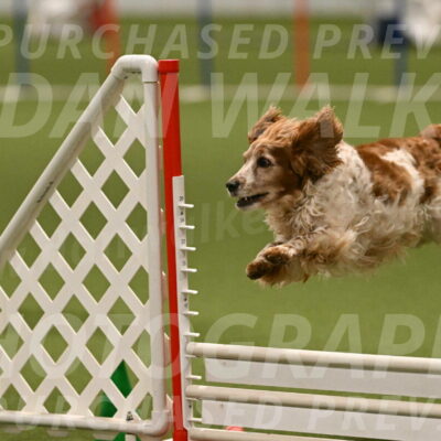 Izzy-Kathy-Barickman-09096