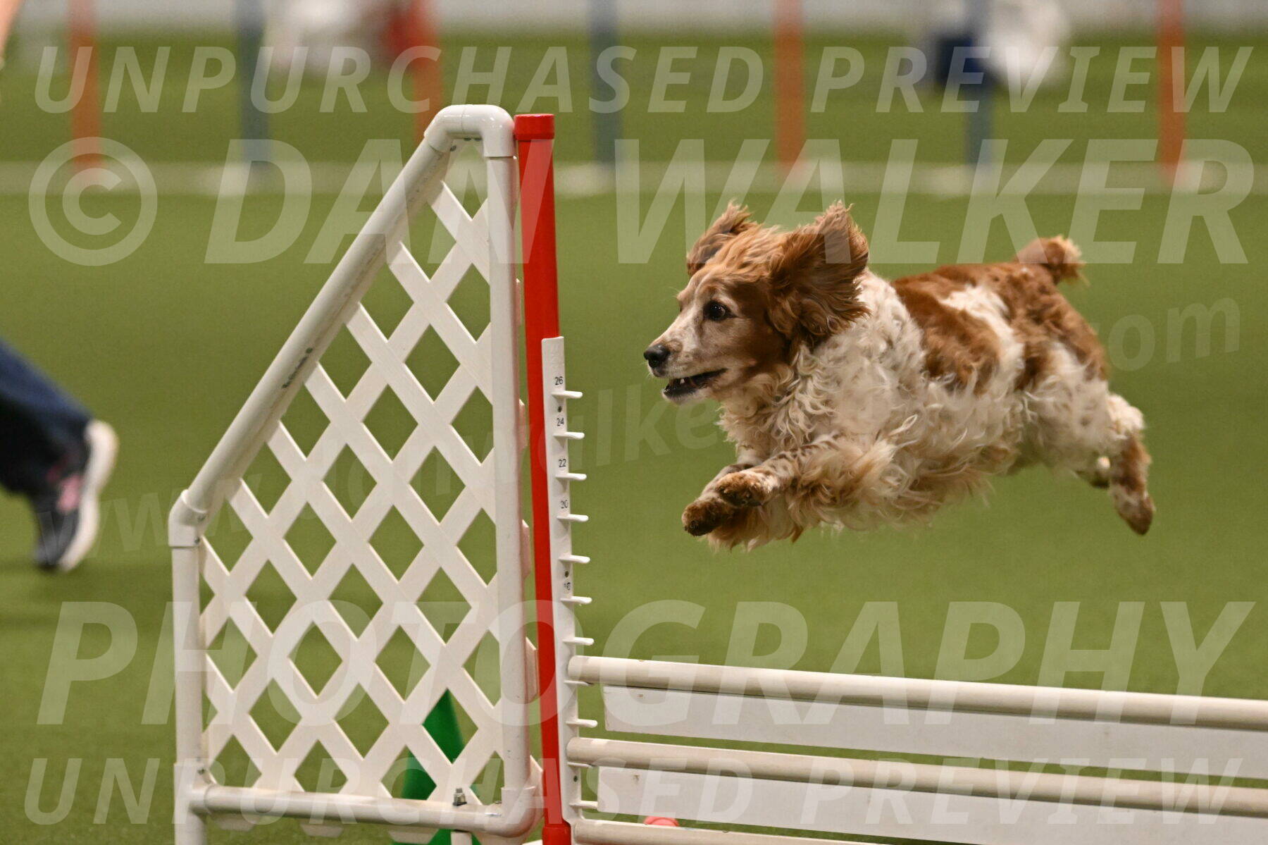 Izzy-Kathy-Barickman-09096