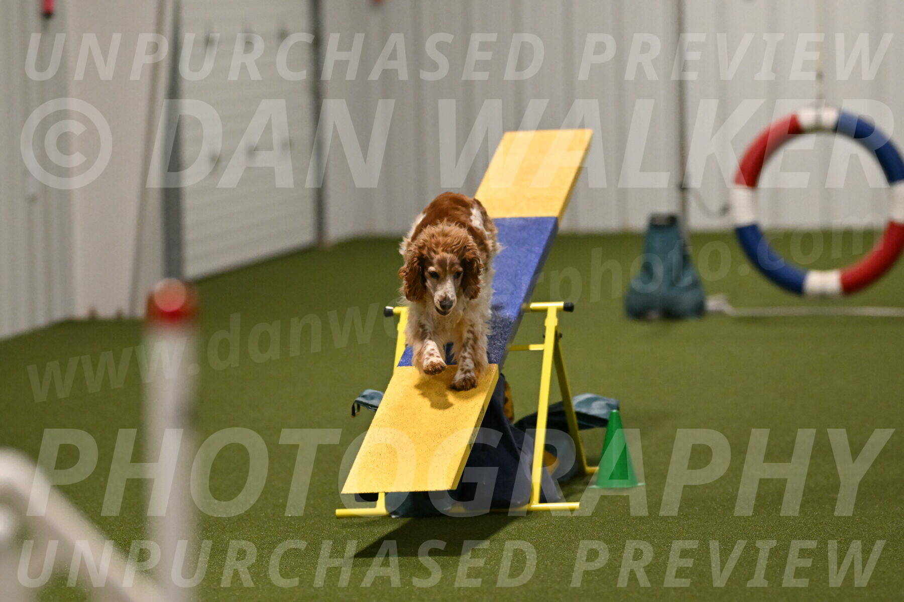 Izzy-Kathy-Barickman-09097