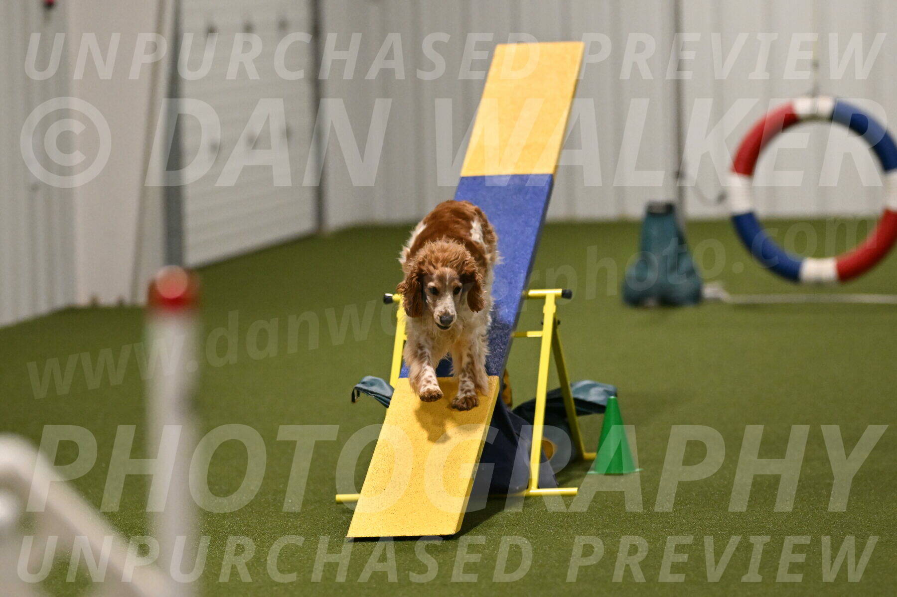 Izzy-Kathy-Barickman-09098