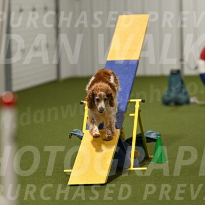 Izzy-Kathy-Barickman-09098