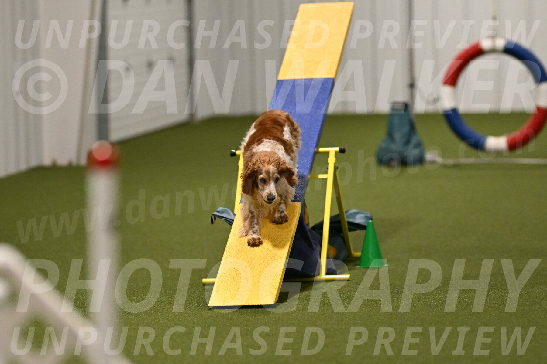 Izzy-Kathy-Barickman-09099