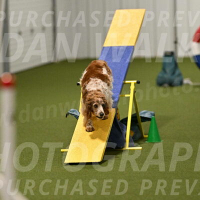 Izzy-Kathy-Barickman-09100
