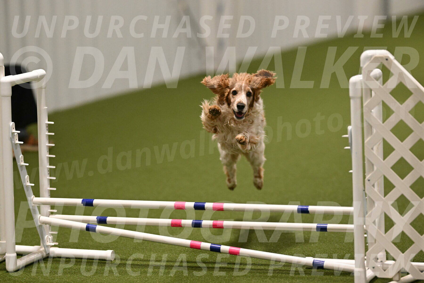 Izzy-Kathy-Barickman-09102