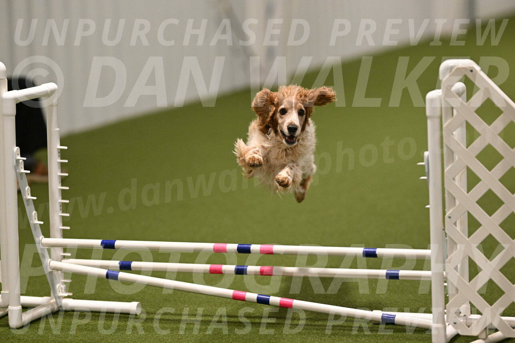 Izzy-Kathy-Barickman-09103