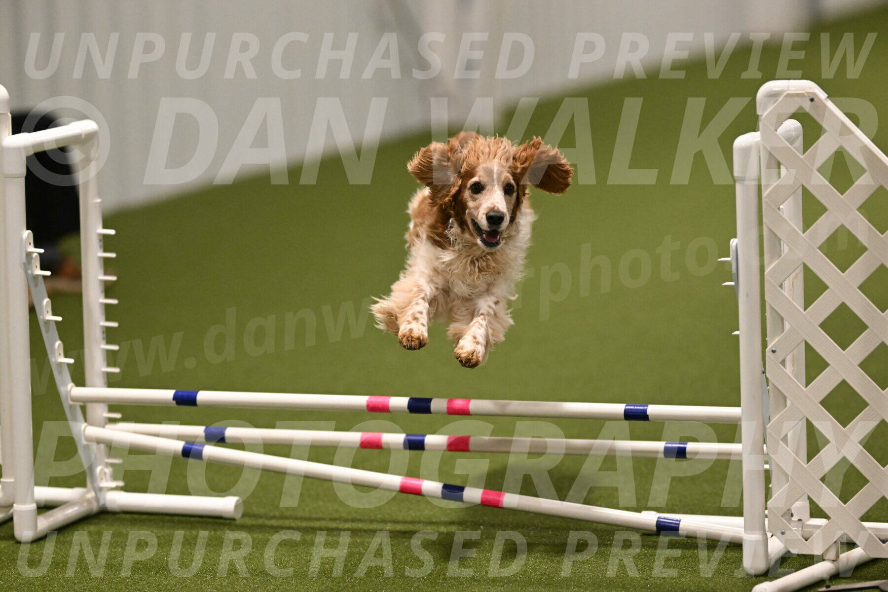 Izzy-Kathy-Barickman-09104
