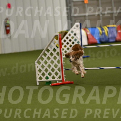 Izzy-Kathy-Barickman-09109