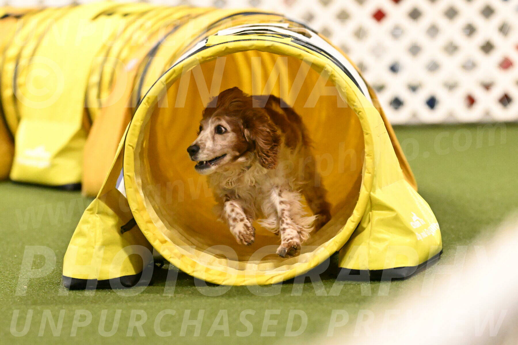 Izzy-Kathy-Barickman-09115