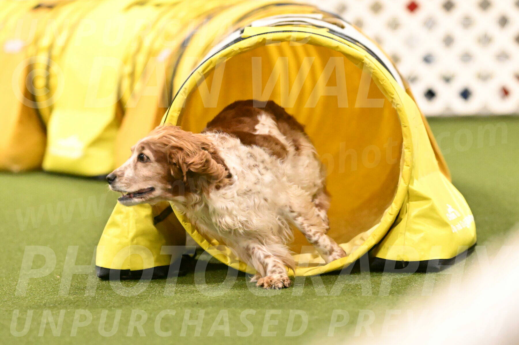 Izzy-Kathy-Barickman-09117