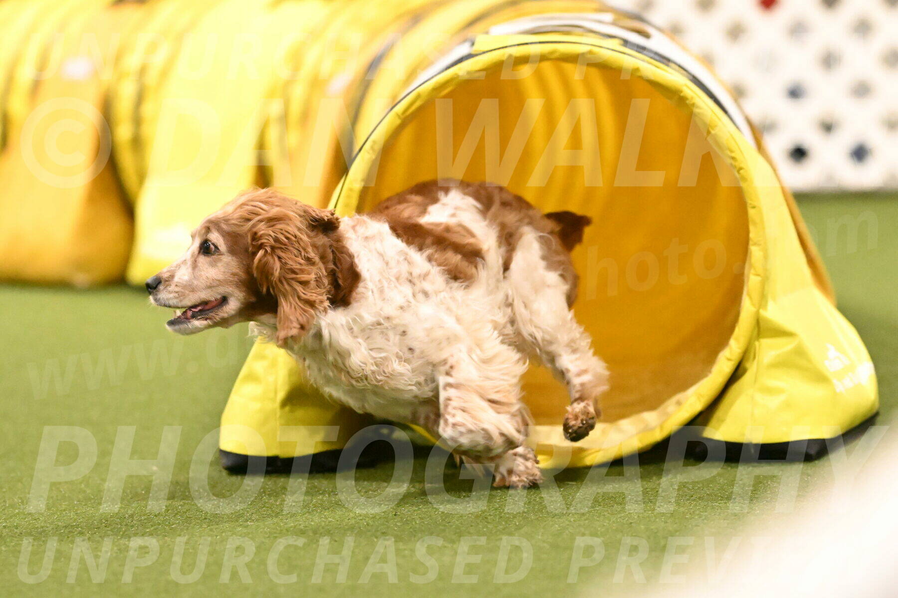 Izzy-Kathy-Barickman-09118