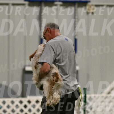 Jameson-David-Thorley-06935