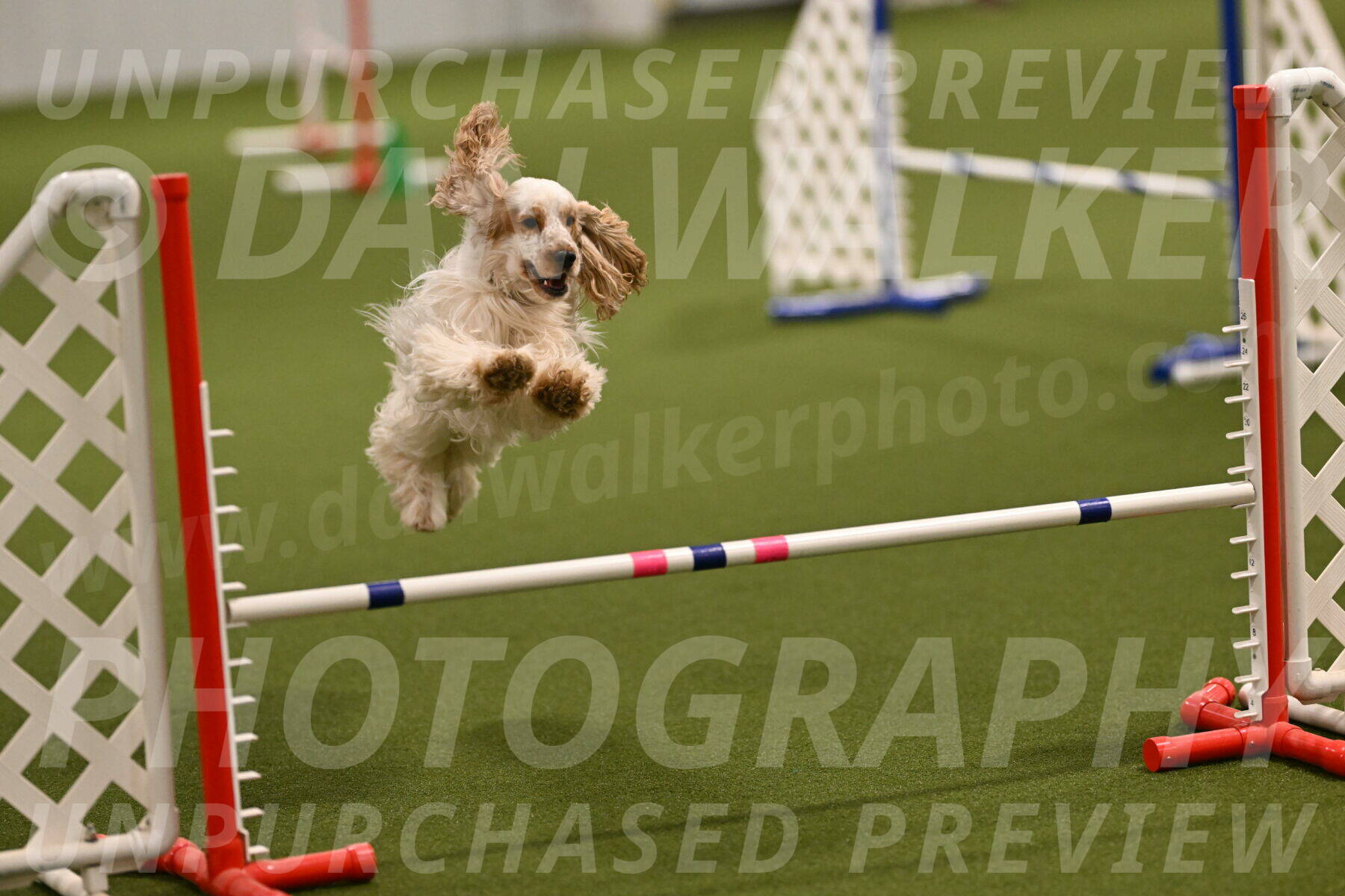 Jameson-David-Thorley-06936