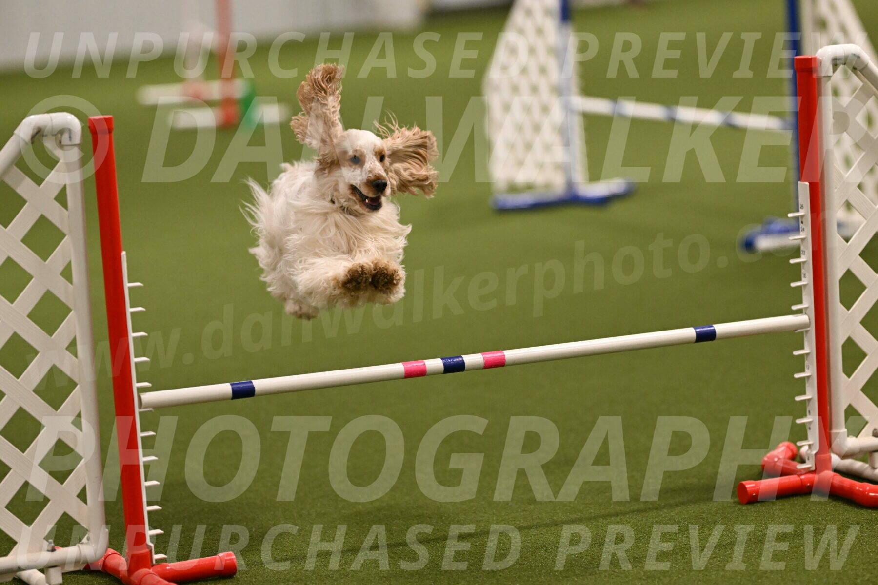 Jameson-David-Thorley-06937