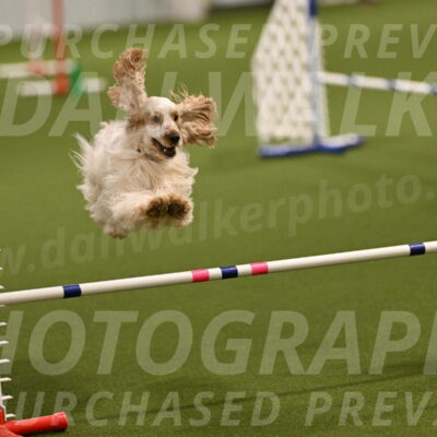 Jameson-David-Thorley-06937