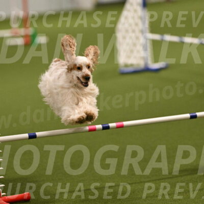 Jameson-David-Thorley-06938