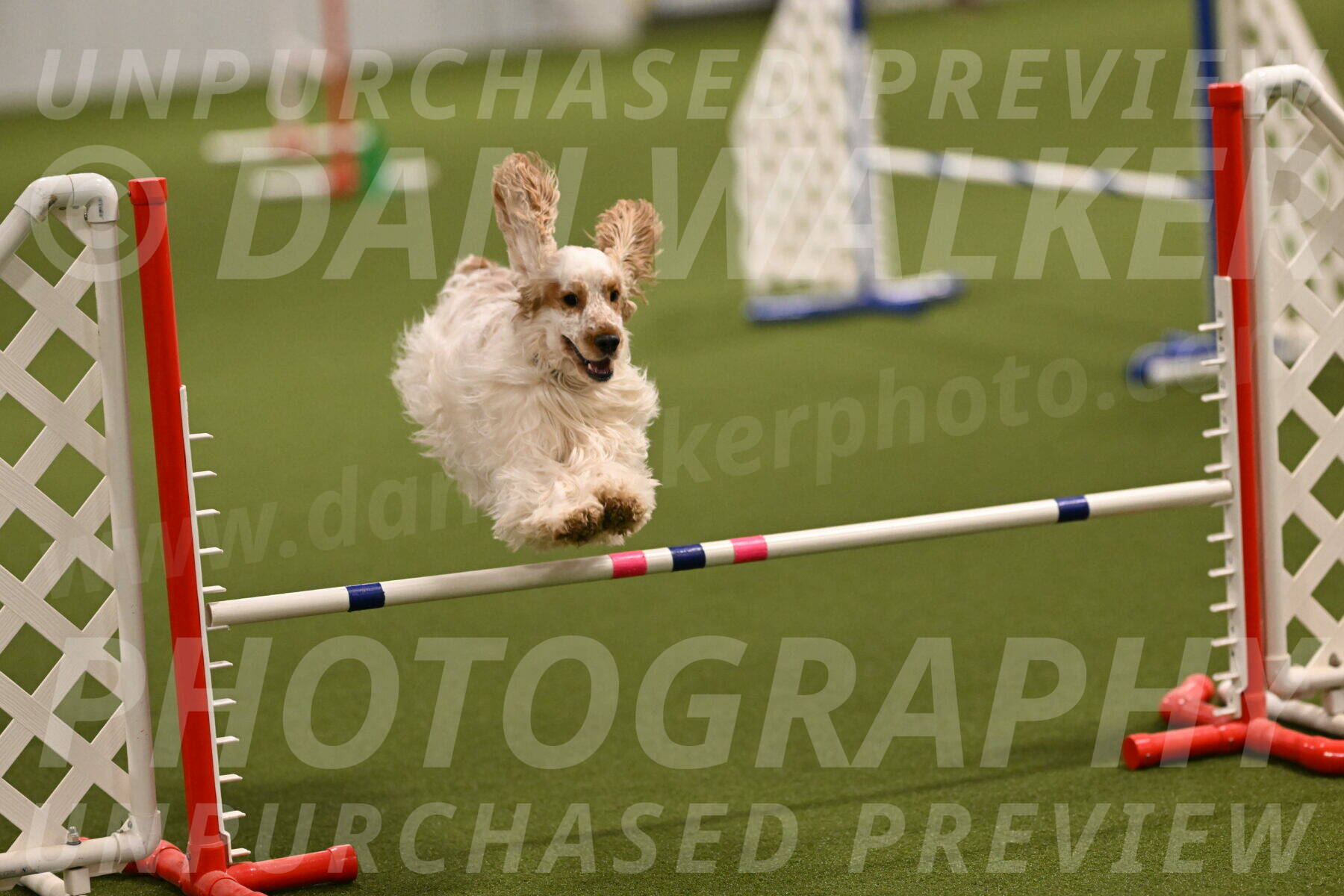 Jameson-David-Thorley-06938