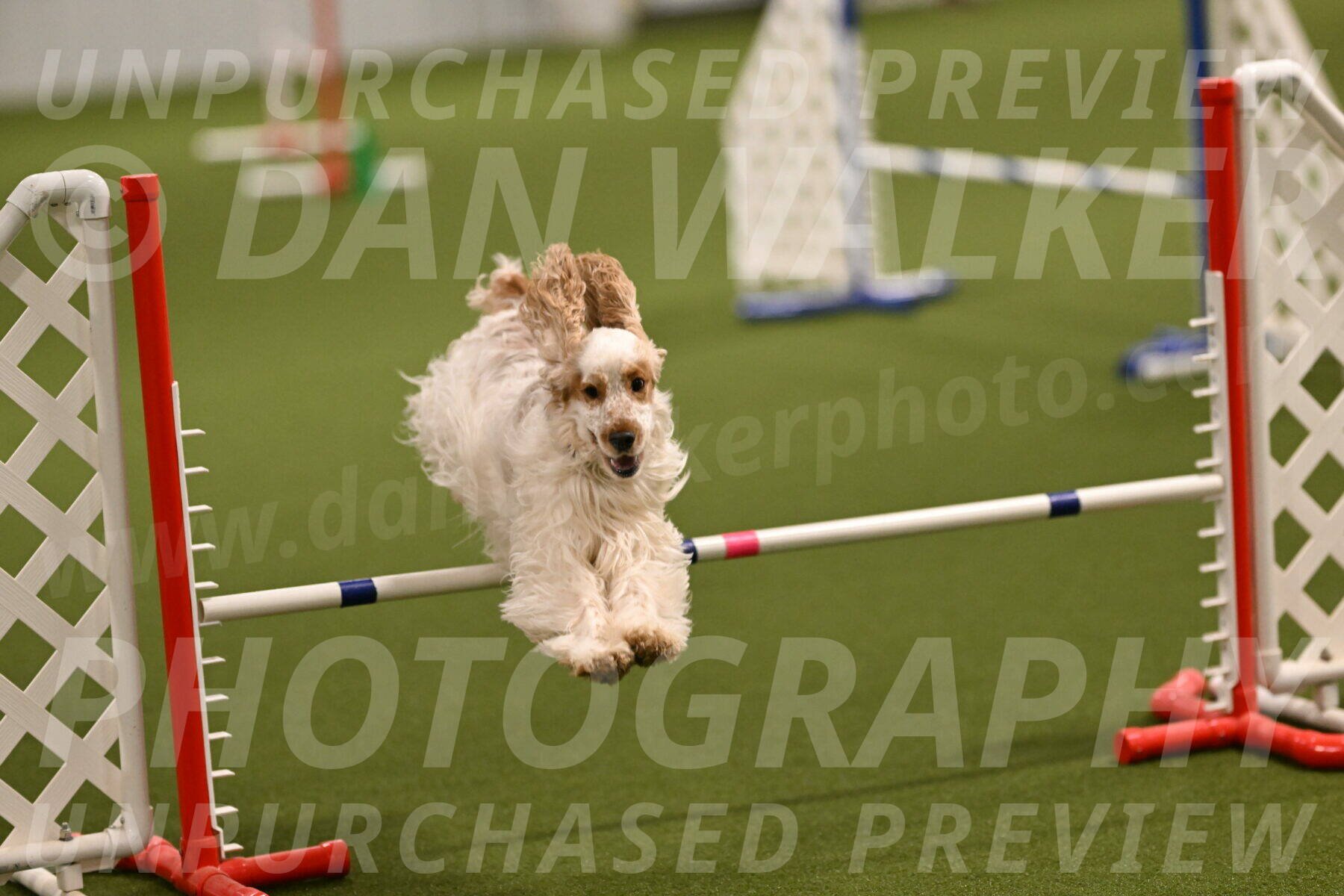 Jameson-David-Thorley-06939