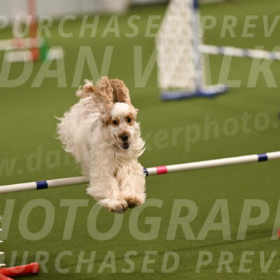 Jameson-David-Thorley-06939