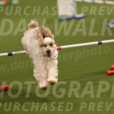 Jameson-David-Thorley-06940