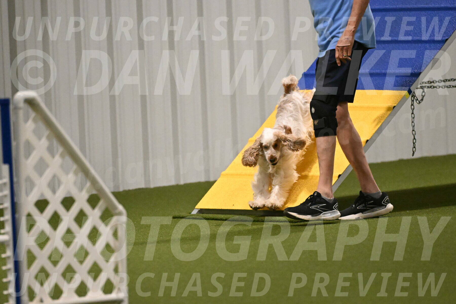 Jameson-David-Thorley-06941