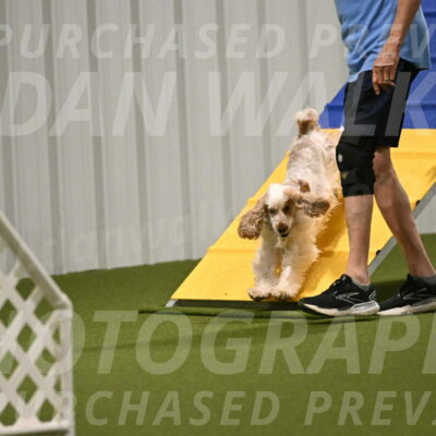 Jameson-David-Thorley-06941