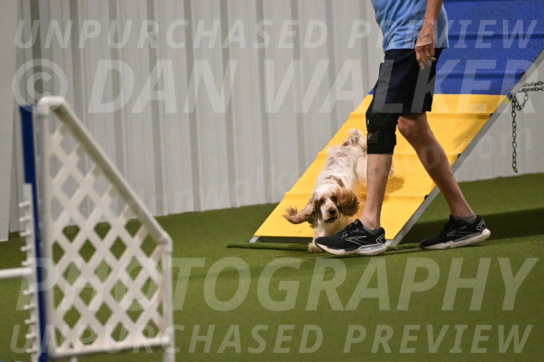 Jameson-David-Thorley-06942